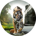 Foto von TigerJak