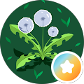 Foto von Puste Blume