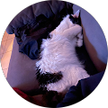 Foto von Micha “Micha”