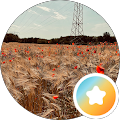 Foto von Victoria Precht