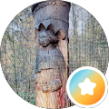 Foto von He H