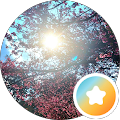Foto von J M