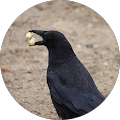 Foto von Jakob Petersen