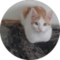 Foto von Sarah Kalb