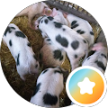 Foto von D. B.