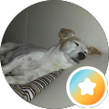 Foto von Axel R.