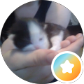 Foto von Lisa H.