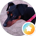 Foto von Jessica Rohde