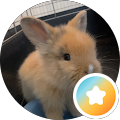 Foto von Peggy Z