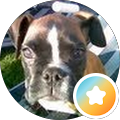 Foto von Wampy pop